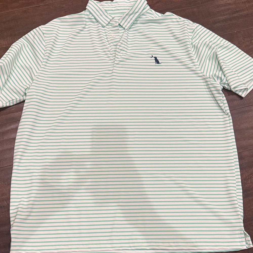 Classic Striped Polo Shirt - Mint Green and White